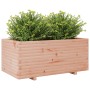 Jardinera madera maciza de abeto Douglas 110x60x49,5 cm de vidaXL, Maceteros y jardineras - Ref: Foro24-3282572, Precio: 193,...