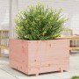 Solid Douglas fir wood planter 70x70x49.5 cm by vidaXL, Pots and planters - Ref: Foro24-3282527, Price: 158,81 €, Discount: %