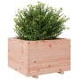 Solid Douglas fir wood planter 70x70x49.5 cm by vidaXL, Pots and planters - Ref: Foro24-3282527, Price: 158,81 €, Discount: %