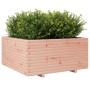 Jardinera madera maciza de abeto Douglas 100x100x49,5 cm de vidaXL, Maceteros y jardineras - Ref: Foro24-3282542, Precio: 230...