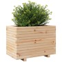 Jardinera madera maciza de pino 70x40x49,5 cm de vidaXL, Maceteros y jardineras - Ref: Foro24-3282549, Precio: 119,77 €, Desc...