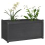 Planters 2 pcs solid gray pine wood 100x50x50 cm by vidaXL, Pots and planters - Ref: Foro24-810729, Price: 167,57 €, Discount: %