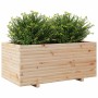 Jardinera madera maciza de pino 110x60x49,5 cm de vidaXL, Maceteros y jardineras - Ref: Foro24-3282569, Precio: 182,35 €, Des...