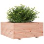 Solid Douglas fir wood planter 110x110x49.5 cm by vidaXL, Pots and planters - Ref: Foro24-3282547, Price: 255,38 €, Discount: %