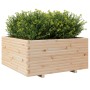 Jardinera madera maciza de pino 100x100x49,5 cm de vidaXL, Maceteros y jardineras - Ref: Foro24-3282539, Precio: 217,21 €, De...