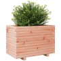 Solid Douglas fir wood planter 70x40x49.5 cm by vidaXL, Pots and planters - Ref: Foro24-3282552, Price: 125,99 €, Discount: %