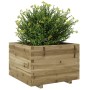 Jardinera madera de pino impregnada 70x70x49,5 cm de vidaXL, Maceteros y jardineras - Ref: Foro24-3282528, Precio: 166,42 €, ...