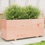 Solid Douglas fir wood planter 110x40x49.5 cm by vidaXL, Pots and planters - Ref: Foro24-3282562, Price: 179,25 €, Discount: %