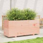 Solid Douglas fir wood planter 110x40x49.5 cm by vidaXL, Pots and planters - Ref: Foro24-3282562, Price: 179,25 €, Discount: %