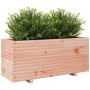 Solid Douglas fir wood planter 110x40x49.5 cm by vidaXL, Pots and planters - Ref: Foro24-3282562, Price: 179,25 €, Discount: %