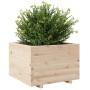 Jardinera de madera maciza de pino 70x70x49,5 cm de vidaXL, Maceteros y jardineras - Ref: Foro24-3282524, Precio: 150,05 €, D...