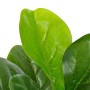 Planta artificial ficus con macetero 90 cm verde de vidaXL, Flora artificial - Ref: Foro24-280172, Precio: 36,15 €, Descuento: %