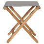 Klappstühle 2 Stk. massives Teakholz und dunkelgrauer Stoff von vidaXL, Gartenstühle - Ref: Foro24-310670, Preis: 107,98 €, R...