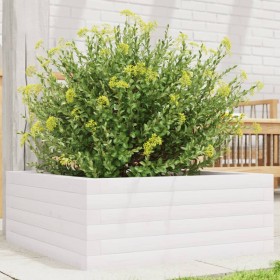 Solid white pine wood planter 60x60x23 cm by vidaXL, Pots and planters - Ref: Foro24-847189, Price: 72,99 €, Discount: %