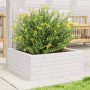 Jardinera de madera maciza de pino blanca 60x60x23 cm de vidaXL, Maceteros y jardineras - Ref: Foro24-847189, Precio: 72,99 €...