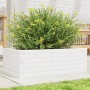 Jardinera de madera maciza de pino blanca 70x40x23 cm de vidaXL, Maceteros y jardineras - Ref: Foro24-847219, Precio: 55,12 €...