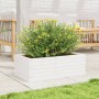 Jardinera de madera maciza de pino blanca 70x40x23 cm de vidaXL, Maceteros y jardineras - Ref: Foro24-847219, Precio: 67,99 €...