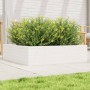 Jardinera de madera maciza de pino blanca 90x90x23 cm de vidaXL, Maceteros y jardineras - Ref: Foro24-847204, Precio: 84,74 €...