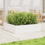 Jardinera de madera maciza de pino blanca 90x90x23 cm de vidaXL, Maceteros y jardineras - Ref: Foro24-847204, Precio: 84,74 €...