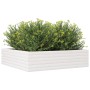 Jardinera de madera maciza de pino blanca 90x90x23 cm de vidaXL, Maceteros y jardineras - Ref: Foro24-847204, Precio: 84,74 €...