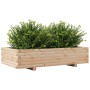 Jardinera de madera maciza de pino 110x60x26,5 cm de vidaXL, Maceteros y jardineras - Ref: Foro24-847348, Precio: 87,93 €, De...