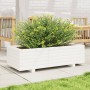 Solid white pine wood planter 90x40x26.5 cm by vidaXL, Pots and planters - Ref: Foro24-847334, Price: 78,50 €, Discount: %