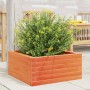 Solid pine wood planter in brown wax finish 60x60x23 cm by vidaXL, Pots and planters - Ref: Foro24-847190, Price: 72,53 €, Di...