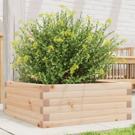 Jardinera de madera maciza de pino 60x60x23 cm de vidaXL, Maceteros y jardineras - Ref: Foro24-847188, Precio: 61,30 €, Descu...