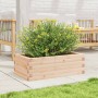 Jardinera de madera maciza de pino 70x40x23 cm de vidaXL, Maceteros y jardineras - Ref: Foro24-847218, Precio: 46,56 €, Descu...