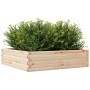 Jardinera de madera maciza de pino 90x90x23 cm de vidaXL, Maceteros y jardineras - Ref: Foro24-847203, Precio: 71,27 €, Descu...