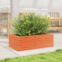 Solid wax brown pine wood planter 70x40x23 cm by vidaXL, Pots and planters - Ref: Foro24-847220, Price: 55,12 €, Discount: %