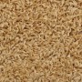 Stair tread carpets 15 units cream 56x17x3 cm by vidaXL, Stair mats - Ref: Foro24-133896, Price: 67,99 €, Discount: %