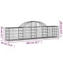 Gabion baskets 20 pcs arch shape iron 200x30x40/60 cm by , Pots and planters - Ref: Foro24-3146062, Price: 839,99 €, Discount: %