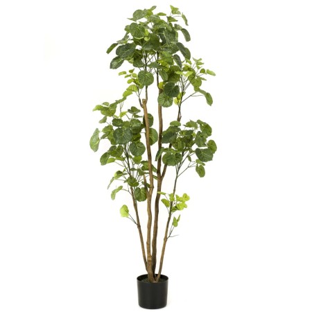 Artificial Emerald Polyscias with pot 160 cm by Emerald, artificial flora - Ref: Foro24-431034, Price: 152,99 €, Discount: %