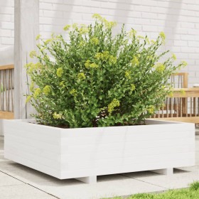 Jardinera de madera maciza de pino blanca 80x80x26,5 cm de , Maceteros y jardineras - Ref: Foro24-847309, Precio: 97,99 €, De...