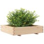 Jardinera de madera maciza de pino 110x110x26,5 cm de , Maceteros y jardineras - Ref: Foro24-847323, Precio: 116,99 €, Descue...