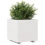 Jardinera madera maciza de pino blanco 50x50x49,5 cm de , Maceteros y jardineras - Ref: Foro24-847354, Precio: 103,78 €, Desc...