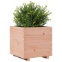 Jardinera madera maciza de abeto Douglas 50x50x49,5 cm de , Maceteros y jardineras - Ref: Foro24-847356, Precio: 92,99 €, Des...