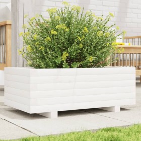 Jardinera de madera maciza de pino blanco 70x40x26,5 cm de , Maceteros y jardineras - Ref: Foro24-847329, Precio: 81,99 €, De...