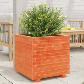 Solid wax brown pine wood planter 50x50x49.5 cm by , Pots and planters - Ref: Foro24-847355, Price: 126,99 €, Discount: %