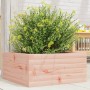 Jardinera de madera maciza Douglas 50x50x23 cm de , Maceteros y jardineras - Ref: Foro24-847186, Precio: 55,99 €, Descuento: %