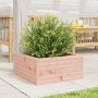 Jardinera de madera maciza Douglas 50x50x23 cm de , Maceteros y jardineras - Ref: Foro24-847186, Precio: 55,99 €, Descuento: %