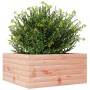 Jardinera de madera maciza Douglas 50x50x23 cm de , Maceteros y jardineras - Ref: Foro24-847186, Precio: 55,99 €, Descuento: %