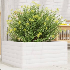 Solid white pine wood planter 50x50x23 cm by , Pots and planters - Ref: Foro24-847184, Price: 62,99 €, Discount: %