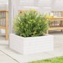 Solid white pine wood planter 50x50x23 cm by , Pots and planters - Ref: Foro24-847184, Price: 62,99 €, Discount: %