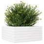 Solid white pine wood planter 50x50x23 cm by , Pots and planters - Ref: Foro24-847184, Price: 62,99 €, Discount: %