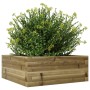 Jardinera de madera de pino impregnada 60x60x23 cm de , Maceteros y jardineras - Ref: Foro24-847192, Precio: 53,46 €, Descuen...