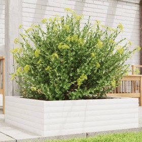 Jardinera de madera maciza de pino blanca 80x80x23 cm de , Maceteros y jardineras - Ref: Foro24-847199, Precio: 75,99 €, Desc...