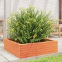 Jardinera de madera maciza pino marrón cera 80x80x23 cm de , Maceteros y jardineras - Ref: Foro24-847200, Precio: 75,32 €, De...