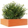 Jardinera de madera maciza pino marrón cera 80x80x23 cm de , Maceteros y jardineras - Ref: Foro24-847200, Precio: 75,32 €, De...